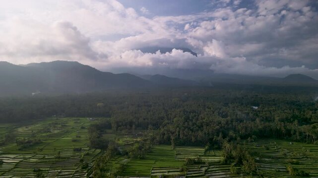 Lush Green Bali Rice Terraces and Majestic Mountains