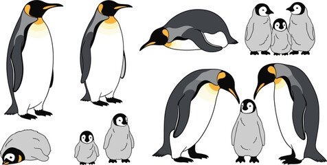 Obraz premium Realistic King Penguin Family Vector Set Featuring Adult Emperor Penguins and Fluffy Gray Chicks in Natural Poses for Educational Biology Projects and Antarctic Wildlife Nature Illustrations