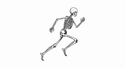 Fototapeta premium A monochrome skeletal figure in mid-stride on a white background