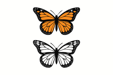 Obraz premium Monarch Butterfly in Color and Black and White Outline