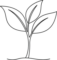 Simple line drawing of a small plant