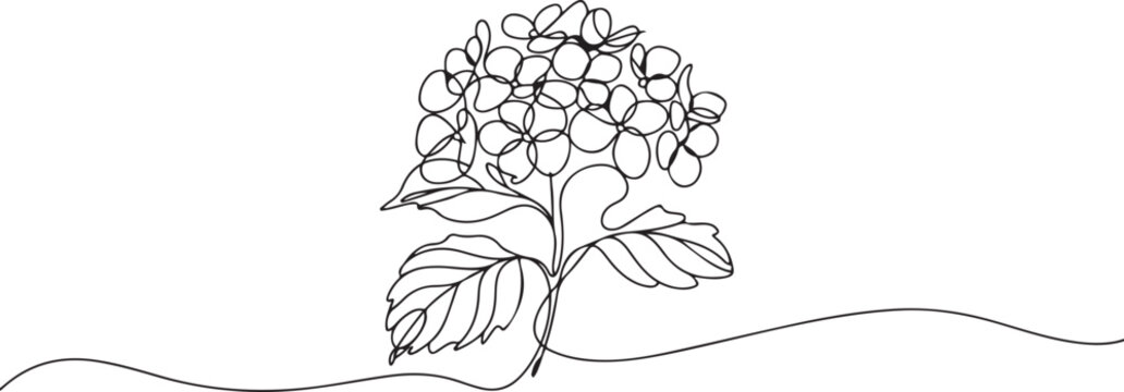 Single continuous line drawing beauty fresh hortensia for home wall decor art poster print. Decorative hydrangea flower concept. one line Icon drawing