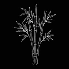 Obraz premium Elegant white bamboo stalks illustration on black background.