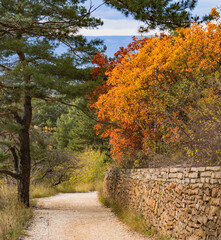 autumn in the city park