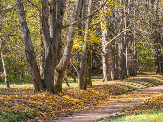 path in autumn park