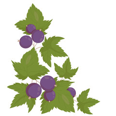 Blackcurrant Botanical Corner Ornament, Berry Branches and Leaves Fruit Decorative Element