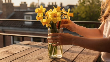 Woman placing fresh yellow daffodils in glass vase with water on wooden balcony table. Spring evening scene with city rooftops trees and warm golden sunlight. Home lifestyle floral decor and calm