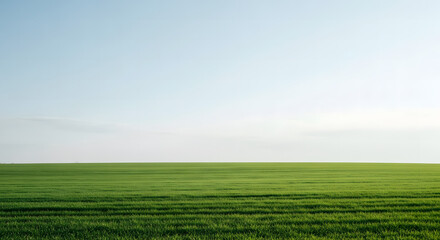 Obraz premium Wide Green Field Landscape Under Clear Blue Sky