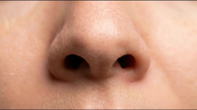 Close-up macro view of a human nose showing skin texture, pores, and fine hair, suitable for medical, dermatology, beauty, hygiene, and anatomy content.