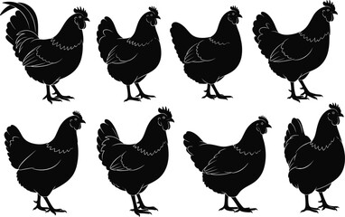 Vector, black, silhouette, illustration, of, eight, different, roosters, and, hens, standing, in, various, poses, for, farm, poultry, livestock, and, rural, agricultural, design © MdHarunur