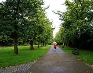 A woman walks along a path in Bute Park, Cardiff , Wales