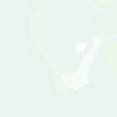 hand print on white background