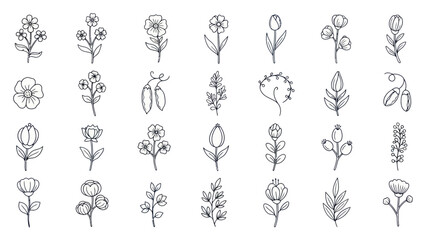Hand-Drawn Botanical Elements: Delicate Flowers, Leaves, and Seed Pods Collection