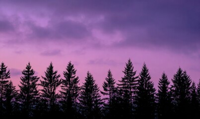 Fototapeta premium A row of trees with purple sky in the background