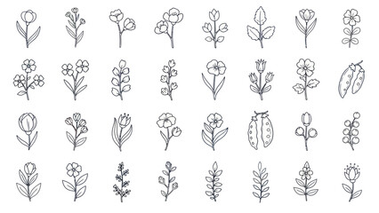 Hand Drawn Botanical Elements: Delicate Flowers, Leaves, and Ladybug Sketch Collection © Laila