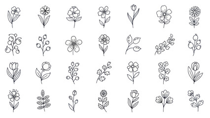 Hand Drawn Floral Icons Set: Delicate Botanical Line Art for Design © Laila