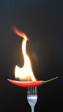 burning red chili pepper on silver fork with flames on dark background