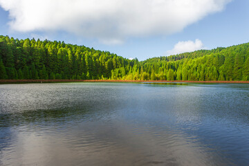 Lagoa do Canario volcanic lake surrounded by lush green forest in Sao Miguel, Azores.