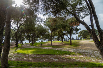 Obraz premium Scenic view of a park with pine trees and stone walkways inside the Kadifekale fortress in Izmir, Turkey. Green lawn and forest landscape under a cloudy sky during a day in January.