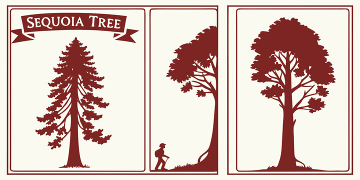 U.S, USA, US, United States - Sequoia tree triptych with towering trunks and minimalist silhouettes &mdash; warm earthy vector artwork for decor, wall art, and modern interior design themes
