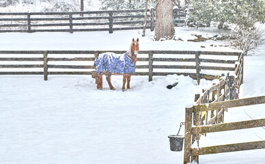 Horse wearing a winter blanket standing in snow a snowstorm along a fence.
