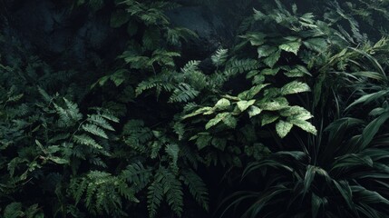 Dark jungle, deep forest, weeds, movie poster texture, realistic

