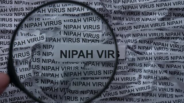 A person with a magnifying glass in his hand magnifying the words Nipah Virus on a crumpled newspaper background. Close up.