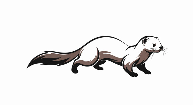Stylized illustration of a white ferret with brown accents, on a white background