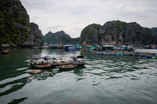 Vietnam, Vat Ba, Halong, Reisen, Wasser, Felsen, Asien
