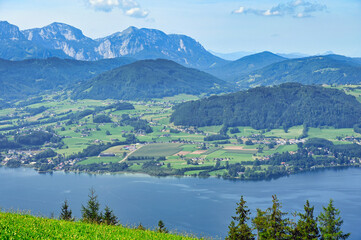Lake Traun Traunsee, mountains and green fields, Upper Austria landscapes, Austria