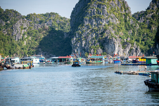 Vietnam, Vat Ba, Halong, Reisen, Wasser, Felsen, Asien