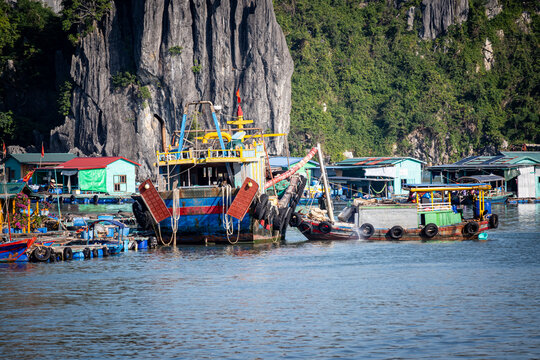 Vietnam, Vat Ba, Halong, Reisen, Wasser, Felsen, Asien