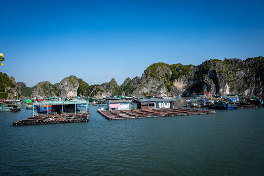 Vietnam, Vat Ba, Halong, Reisen, Wasser, Felsen, Asien