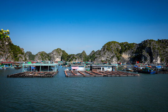 Vietnam, Vat Ba, Halong, Reisen, Wasser, Felsen, Asien