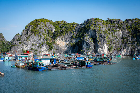 Vietnam, Vat Ba, Halong, Reisen, Wasser, Felsen, Asien