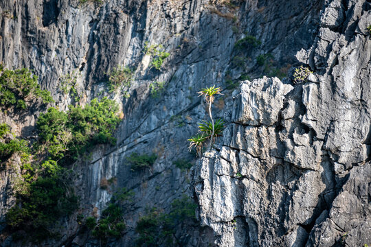 Vietnam, Vat Ba, Halong, Reisen, Wasser, Felsen, Asien