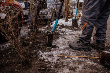 Sadzenie drzewek zimą © rozentuzjazmowany