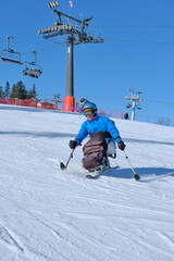 A wheelchair user controls his descent down a mountain on a monoski