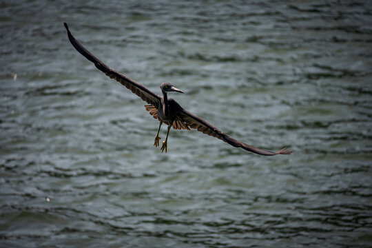 Vietnam, Cat Ba, Reisen, Halong, Wasser, Felsen, boote