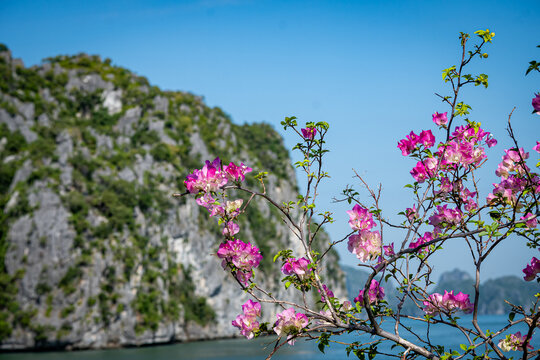 Vietnam, Reisen, Wasser, Cat Ba, Asien