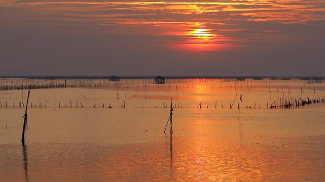 sunset over the sea and seagulls