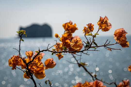 Vietnam, Reisen, Wasser, Cat Ba, Asien