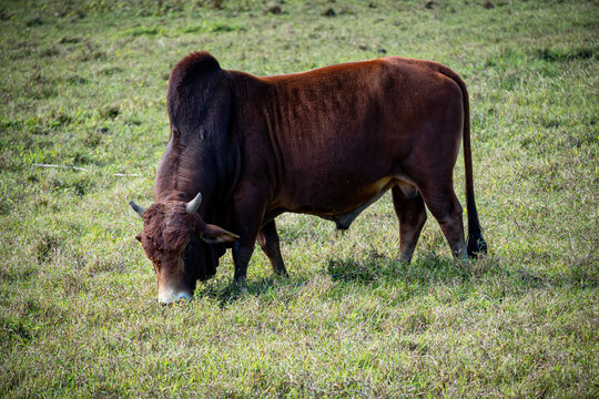 Vietnam, Reisen, Wasser, Cat Ba, Asien