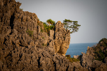 vietnam, vietnam travel, southeast asia, asia travel, ha long bay, halong bay vietnam, limestone karst, cat ba island, tropical landscape, ninh binh, tam coc, rice fields vietnam, river landscape, une