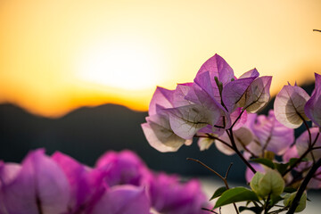 Vietnam Cat Ba, Halong, Asien