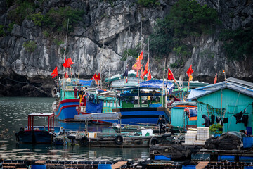 Vietnam Cat Ba, Halong, Asien