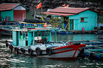 vietnam, vietnam travel, southeast asia, asia travel, ha long bay, halong bay vietnam, limestone karst, cat ba island, tropical landscape, ninh binh, tam coc, rice fields vietnam, river landscape, une