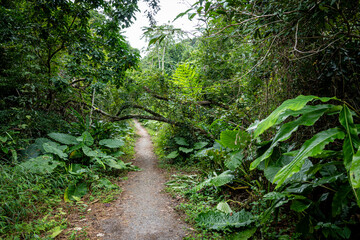 Vietnam Cat Ba, Halong, Asien
