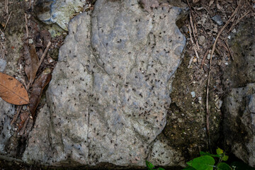 vietnam, vietnam travel, southeast asia, asia travel, ha long bay, halong bay vietnam, limestone karst, cat ba island, tropical landscape, ninh binh, tam coc, rice fields vietnam, river landscape, une