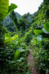 Vietnam Cat Ba, Halong, Asien